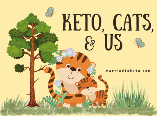 the keto cats