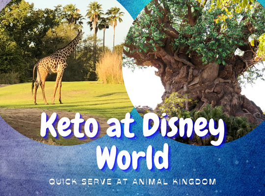 Eating Keto at Animal Kingdom