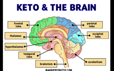 The Connection Between Keto and your Brain