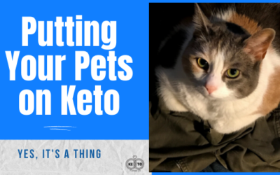 Should You Put Your Pets on Keto