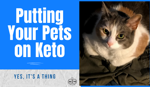 Should You Put Your Pets on Keto